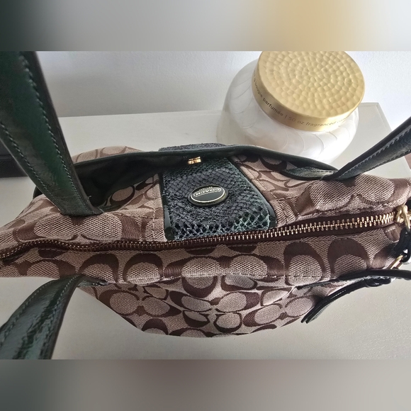 Coach Signature Python Stripe Tote 2013 - Picture 6 of 12